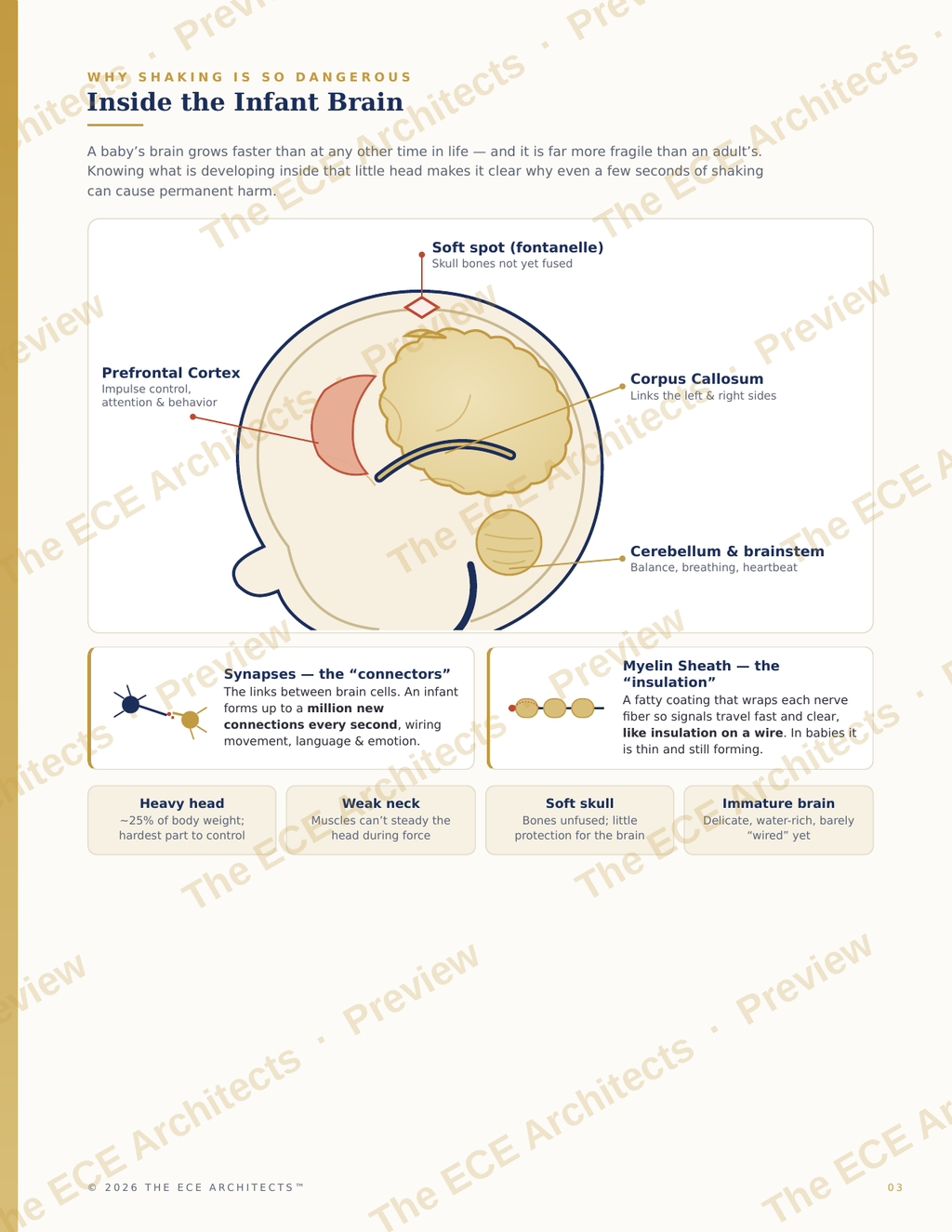 Safe Sleep & Shaken Baby Prevention Quick Reference Guide