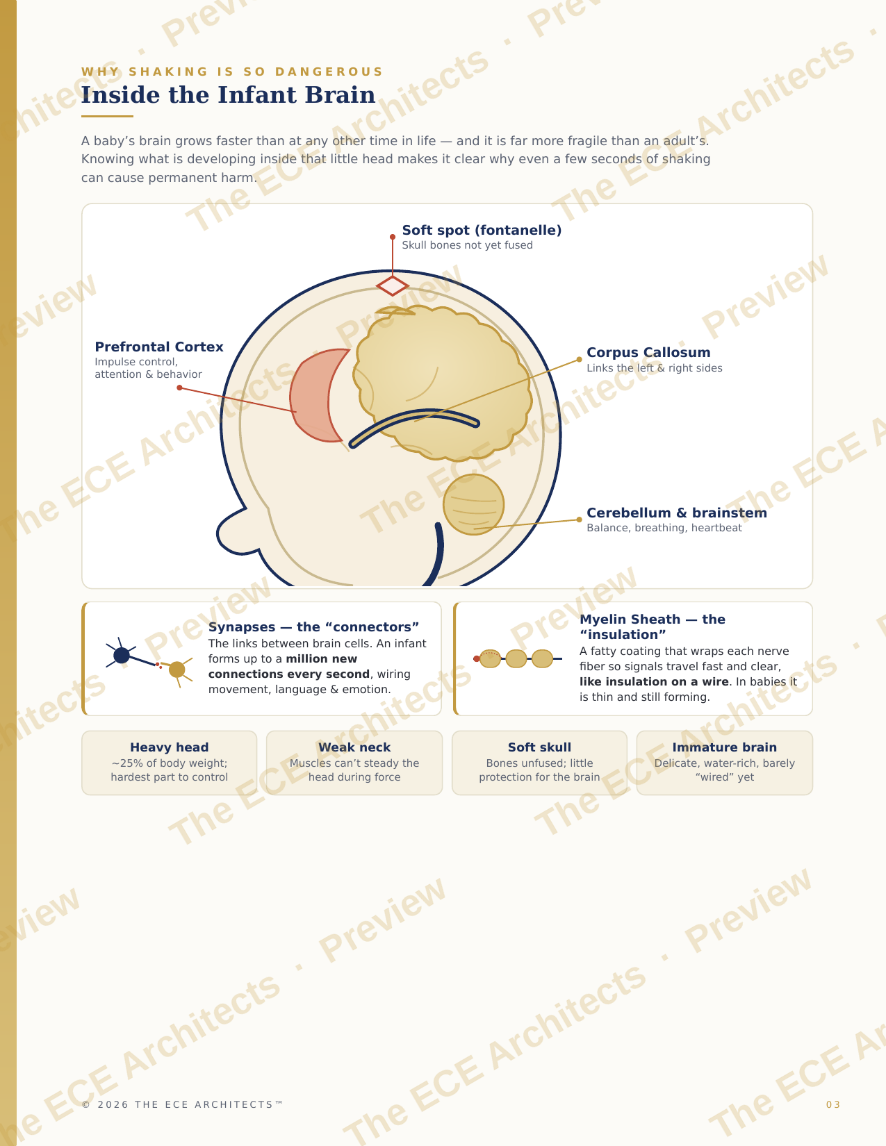 Safe Sleep & Shaken Baby Prevention Quick Reference Guide